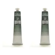2x Winsor & Newton 200ml Winton Oil Colour Paint Artist/Painting Sap Green