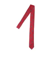 Paisley tie One size Red