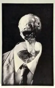 Magnet #491 - Eraserhead Baby David Lynch Midnight Movie Cult Film Cinema