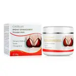 豐霜膏胸部按摩膏霜 30G BREAST ENHANCEMENT CREAM BREAST