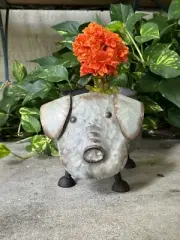 Rustic Galvanized Pig Planter New Inside/Outside Zaer Ltd.