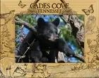 Cades Cove Tennessee Laser Engraved Wood Picture Frame (5 x 7)
