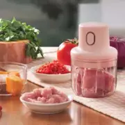 Electric Garlic Crusher USB Wireless Vegetable Meat Grinder Sturdy Press Tool