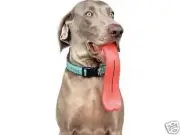 Humunga Tongue Humorous Rubber Pet Dog Toy Fetch Ball Small Size New!