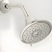KOHLER 22169-SN Forte Multifunction Showerhead - 2.5 GPM Vibrant Polished Nickel