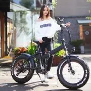 Niubo 1000w/48v Fat Tire Folding 20in Electric Bicycle Ebike NEW