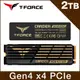 【TEAM 十銓】 T-FORCE A440 黑曜女神 (雙散熱片) 2TB M.2 PCIe Gen4固態硬碟