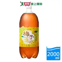 在飛比找蝦皮商城優惠-金車梅子汽水2000ML【愛買】