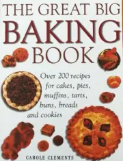 The Great Big Baking Book. New