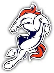 Bronco Horse Sticker Decal