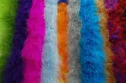 20 Marabou 22 Gram Feather Boas 2-Yards Various Color for Halloween & Costumes