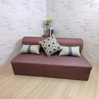 在飛比找momo購物網優惠-【Summer台灣製造】可可咖雙人免組裝多功能2折彈簧沙發床