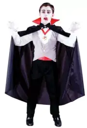 Classic Vampire Kid's Halloween Costume