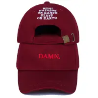 在飛比找蝦皮購物優惠-中性春夏 DAMN 帽子刺繡地球爸爸帽子嘻哈帽 Kendri