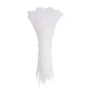 100pcs Cable Zip Ties, Plastic Ties Wraps, 4" / 100mm Self-Locking Tie, White