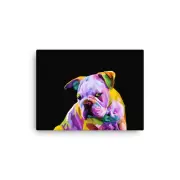 Cool Pop Art Bull Dog - High Quality Print on Canvas
