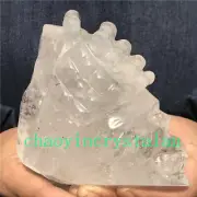 1.82LB Natural Clear Quartz Skull Quartz Crystal Carved Reiki Healing XK1264