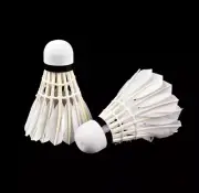 2 Training Sports Goose Feather Birdies Ball Game Shuttlecocks Badminton USA NEW