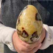 1.7LB Natural Dragon Septarian Quartz Egg Cluster Crystal Healing G5158