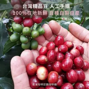 【台灣農林】鹿篙濾掛咖啡 台灣豆(10gx7入/盒)