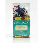 Pioneer Woman Patriotic Stars String Lights LED Red White Blue Metal Timer 10-pc