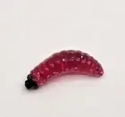 10 Pieces Maggot Fly Fishing Soft Bait for Bass/Trout/Salmon Fly RED