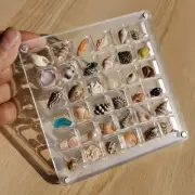 Acrylic Magnetic Seashell Display Box - 36 Grids Clear Seashell Storage Box, ...