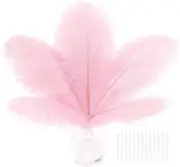 Pink Craft Ostrich Feathers - 30PCS 6-8 Inch Bulk Ostrich Feathers Kit for Cente