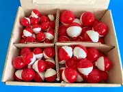 NOS Vintage Ball Fishing Floats Bobbers COUNTER TOP DISPLAY BOX USA NEW BLUEGILL
