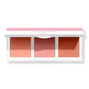 Covergirl Clean Fresh Blush Palette, Dream In Pink