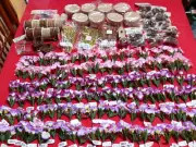 200+ Packages UNUSED CRAFT SUPPLIES Flowers Bird Nests Boxes Ribbons Eggs Tools