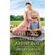The Lost Little Amish Boy