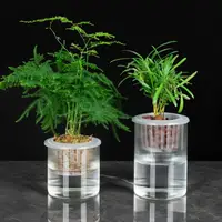 在飛比找樂天市場購物網優惠-懶人花盆植物水培玻璃瓶子透明直筒家用簡約圓柱花瓶綠蘿水養器皿