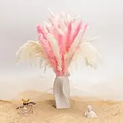 Decoflora Natural Pampas Grass Decor Set - 17-inch Fluffy Pink & White Bouquet for Rustic&Home Decor, Boho Wedding