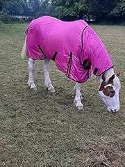 Cwell Equine Bug Away Horse fly rug combo attached neck cover PINK (6'6")