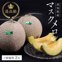 在飛比找PChome24h購物優惠-【WANG 蔬果】日本高知縣溫室綠哈密瓜(原裝2顆入/約3k