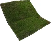 Zerodeko Versatile Artificial Moss Rug 30x30cm Fake Grass for DIY Decorations Realistic Greenery for Outdoor/Indoor