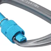 2PCS 12KN Auto Locking Climbing Carabiner Clips Carabiners For Rock Climb DP