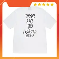 在飛比找蝦皮購物優惠-Stussy LEVELS TEE 白色彈力襯衫