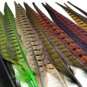RINGNECK PHEASANT TAIL PAIR - Fly Tying Natural & Dyed Long Feathers by Hareline