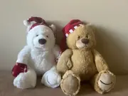 NEW Gund Bears (2) Annual Amazon Plush Teddy Bear NWT