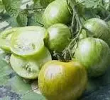 在飛比找Yahoo!奇摩拍賣優惠-綠斑馬蕃茄種子10粒