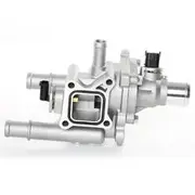 Tridon Thermostat and Housing TT725-221K