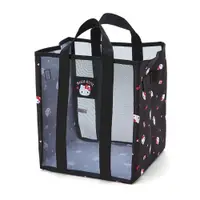在飛比找蝦皮商城優惠-Sanrio 三麗鷗 新生活系列 透氣網紗收納提箱 手提袋 