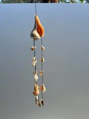 Whelk, Florida Fighting Conch, and Turkey Wing Sea Shell Windchime *Handmade