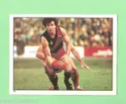 1983 SCANLENS VFL STICKER - #31 TONY BUHAGIAR, ESSENDON BOMBERS