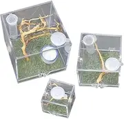 CIYODO Jumping Spider Cage 3pcs Acrylic Breeding Box Insect Habitat Case Spider for Home Office