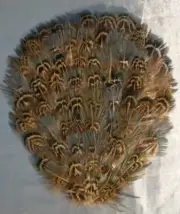 English Pheasant Feather Pad 4.5"x5" for Crafts/Millenery/Headbands/Costumes