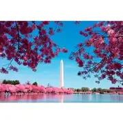 Save 15.00%! DC Monuments Tour with River Cruise, Optional Entry Tickets