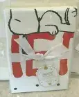Pottery Barn Teen peanuts GOOD GRIEF snoopy STANDARD pillowcases set of 2